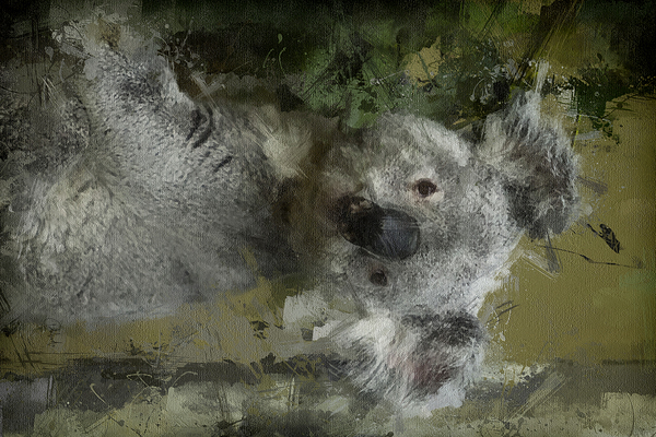 Climbing Koala Digital Download