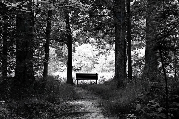 Dark to Light Digital Download