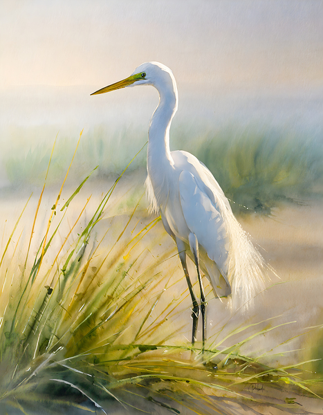 Egret By The Sea Print