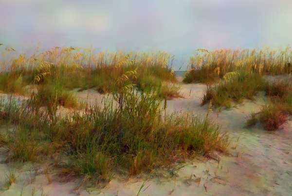 Florida Sand and Sea Oats Print