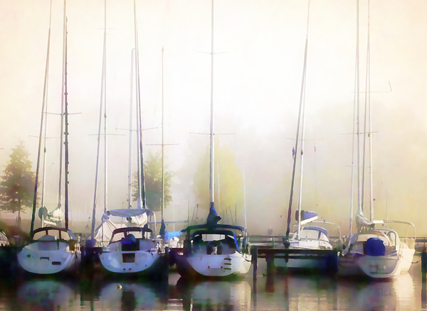 Foggy Marina Morning Digital Download
