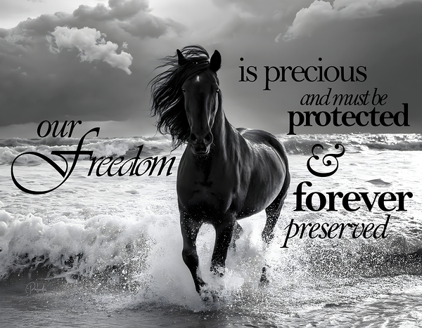 Freedom Horse Print