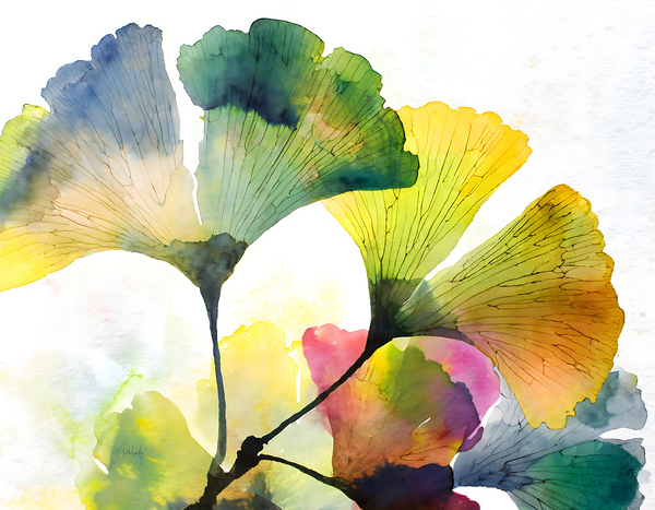 Ginkgo Biloba II Print