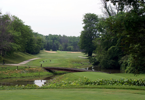 Of Geese and Golf at Sawmill Creek Digital Download