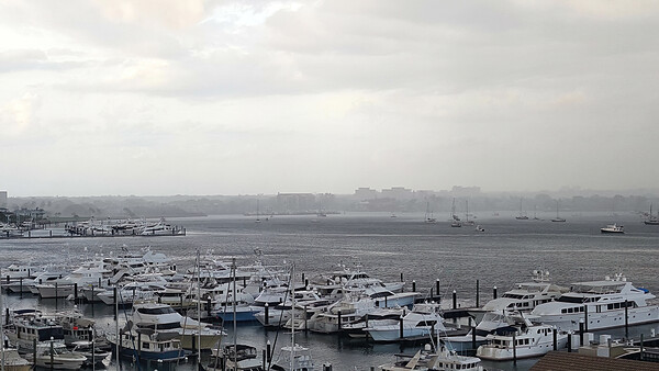 Old Port Cove Marina Digital Download