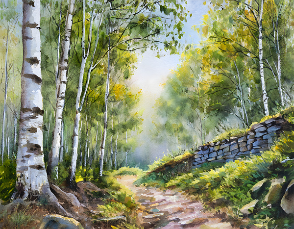 Path Through The Birches Print