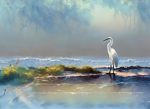 Rain At The Tidal Pool Print