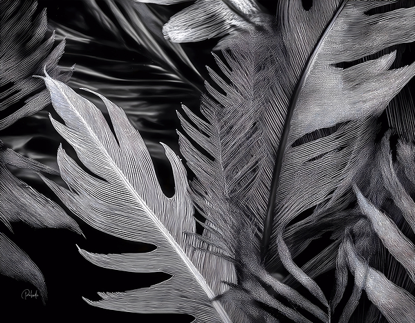 Shades of Night Tropics II Print