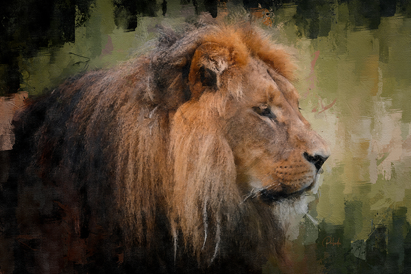 The Lion The King Print