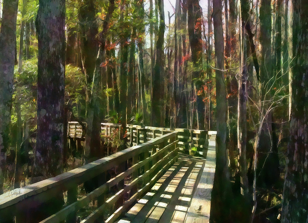 Wooden Walk Into Fall by Pabodie Art