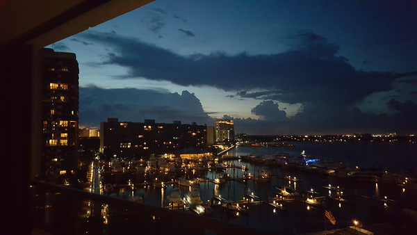 Night Lights at the Marina Digital Download