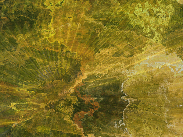 Palm Burst Rays II Print