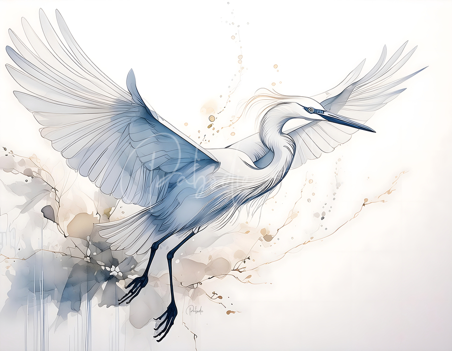 Egret In Flight Ink Wash  Print