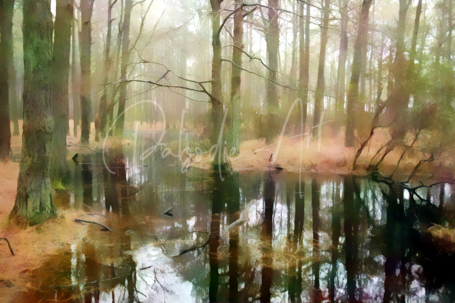 Meandering Backwater Swampy Reflections  Print