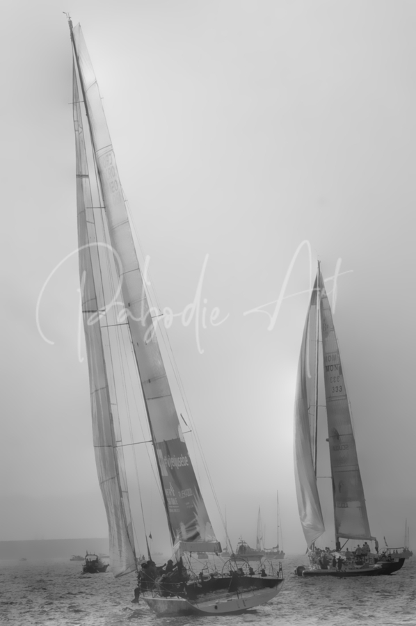 Tall Sails and Busy Waters  Print