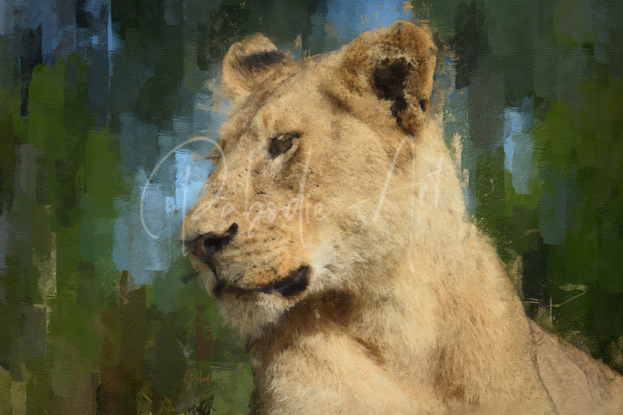 The Kings Mate and Lioness Portrait  Print