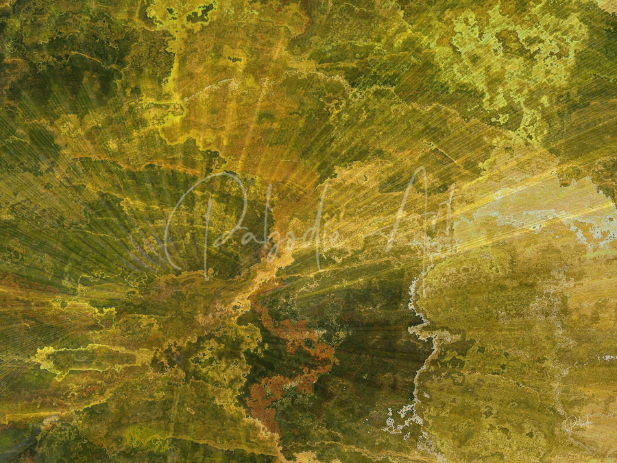 Palm Burst Rays II  Imprimer