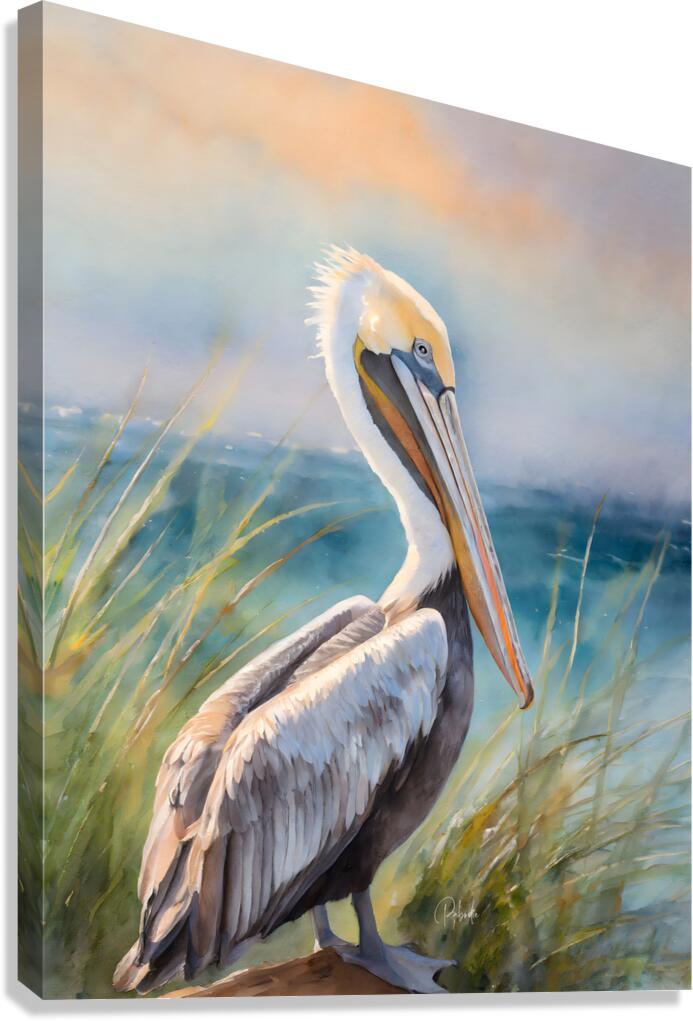 Pelican Shores Canvas Print