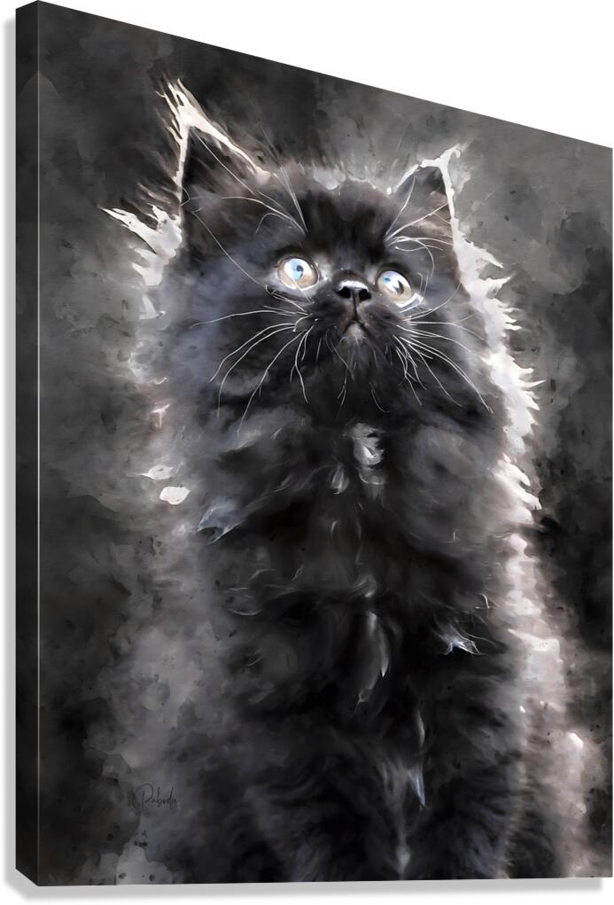 Kitten Discovering The World Canvas Print