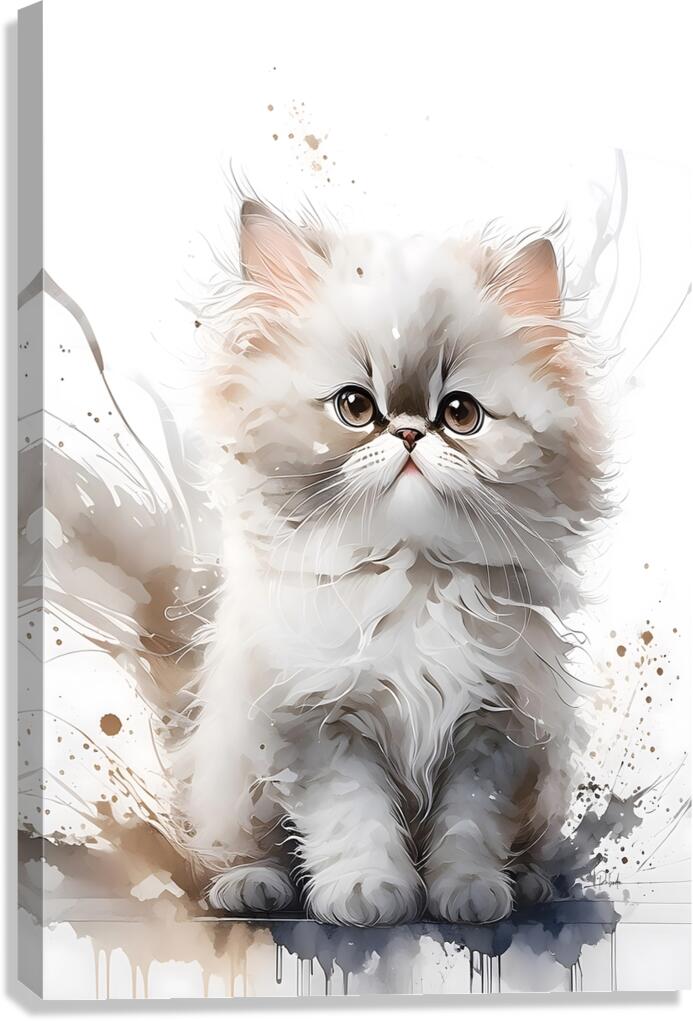 Seal Point Persian Kitten Canvas Print