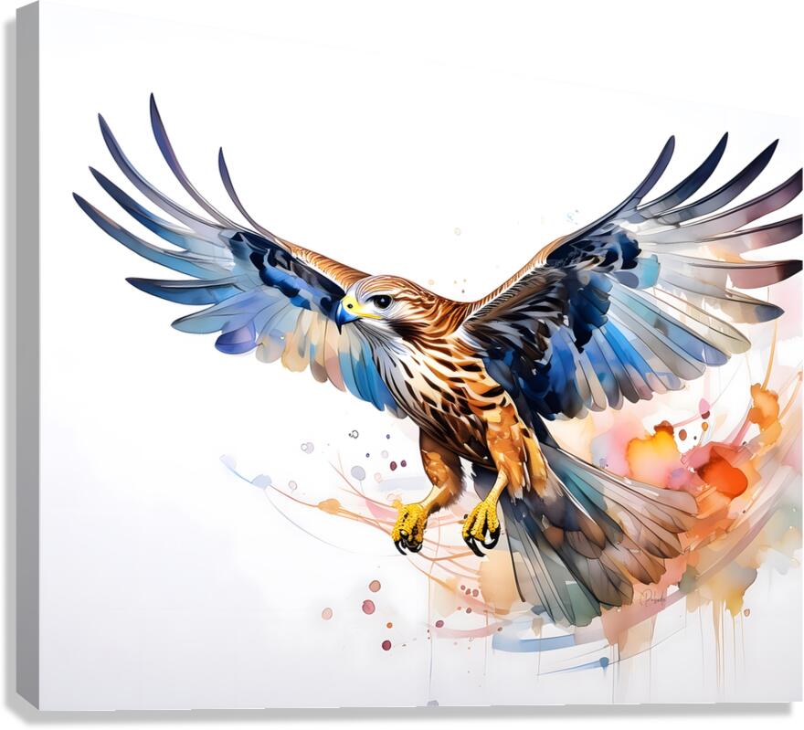 Hawk In Flight Ink Wash Canvas Print