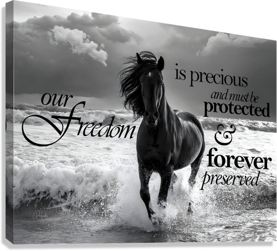 Freedom Horse Canvas Print