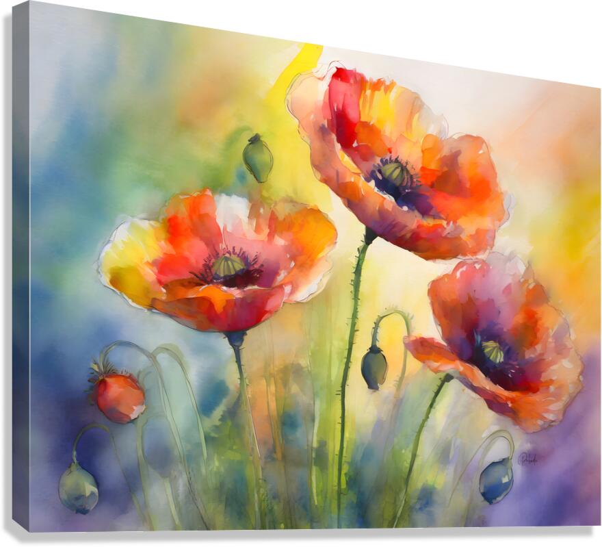 Dancing Poppies  Canvas Print