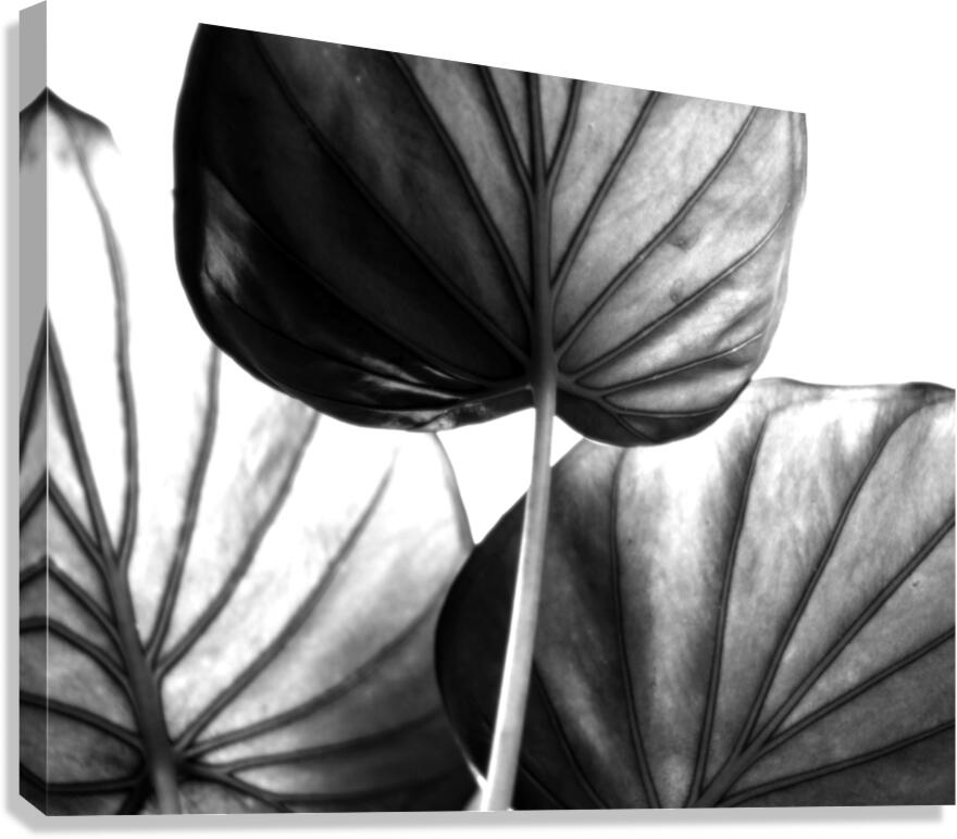 Tree of Life Leaf Art Canvas Print