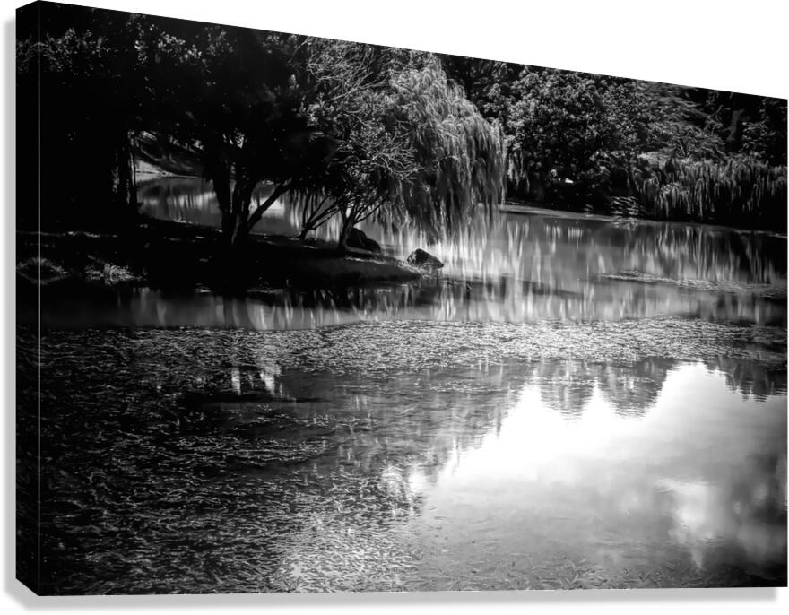 Willow Water Reflections Canvas Print