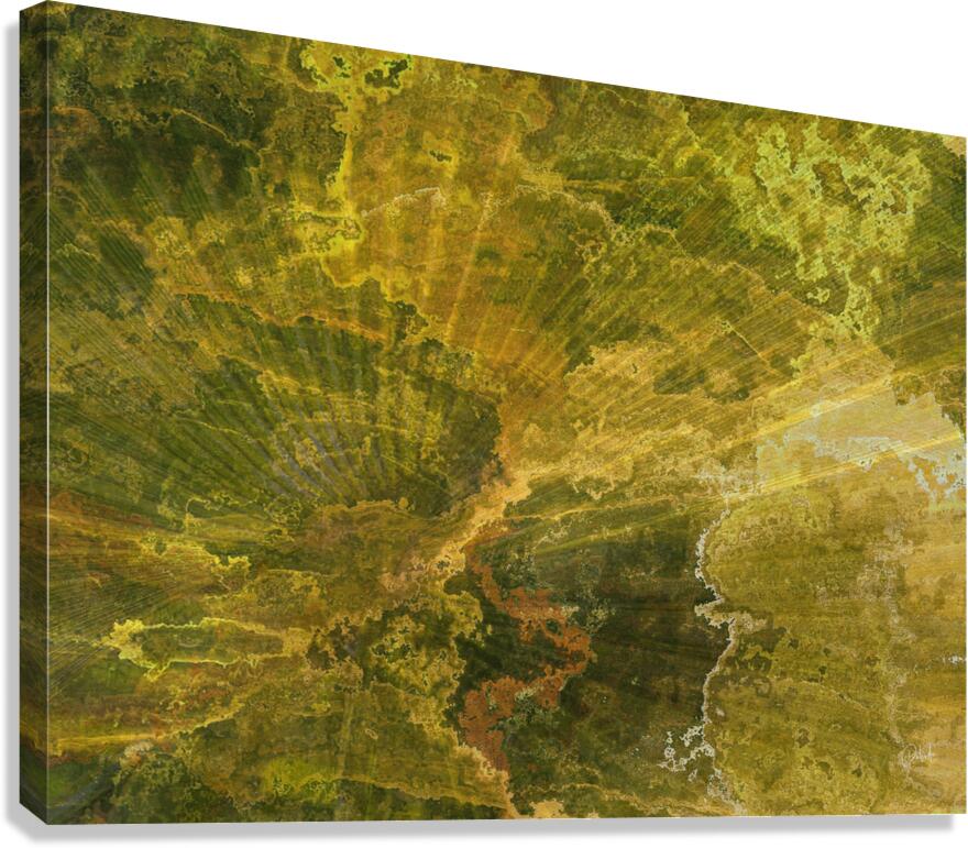 Palm Burst Rays II Canvas Print