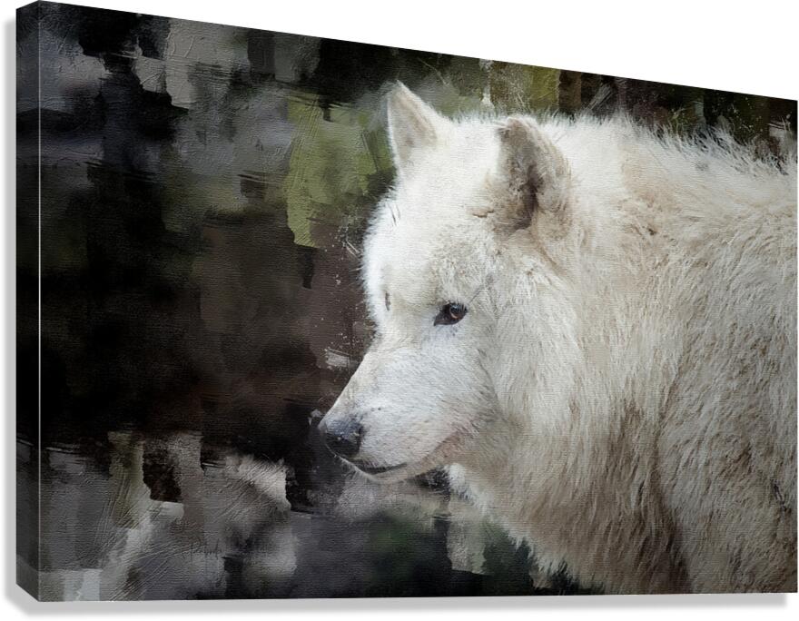 The White Wolf  Impression sur toile