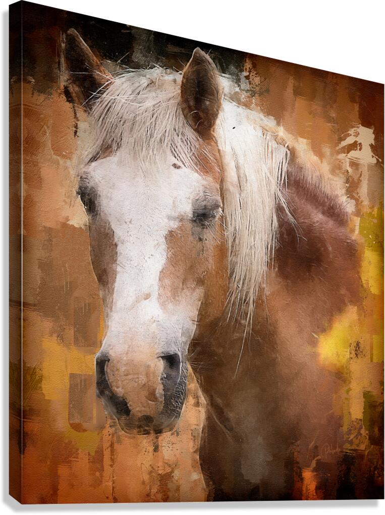 Beautiful Palomino Horse Canvas Print