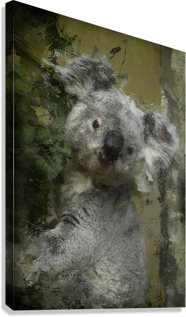 Climbing Koala  Impression sur toile
