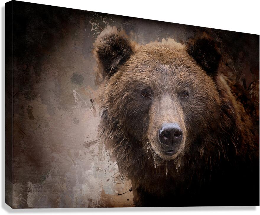 North American Brown Bear Canvas print