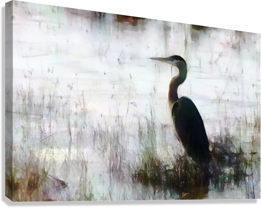 GREAT BLUE HERON IN THE SHALLOWS PABODIE ART  Canvas Print