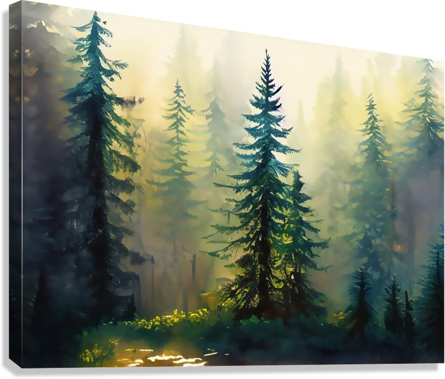 FIR TREE FOREST PABODIE ART  Canvas Print