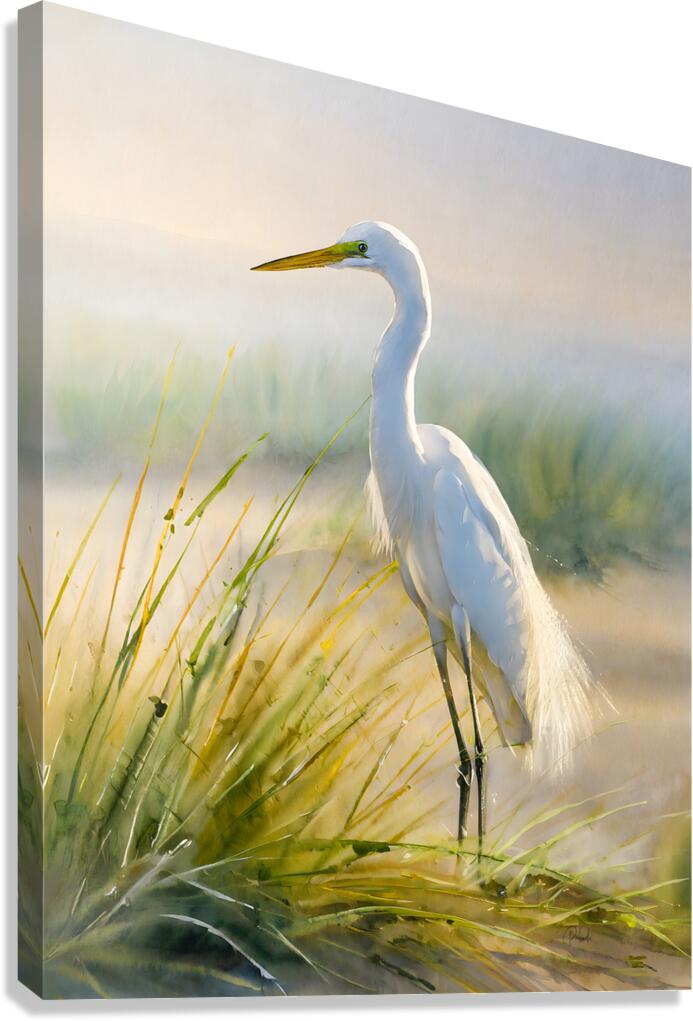 Egret By The Sea Canvas Print