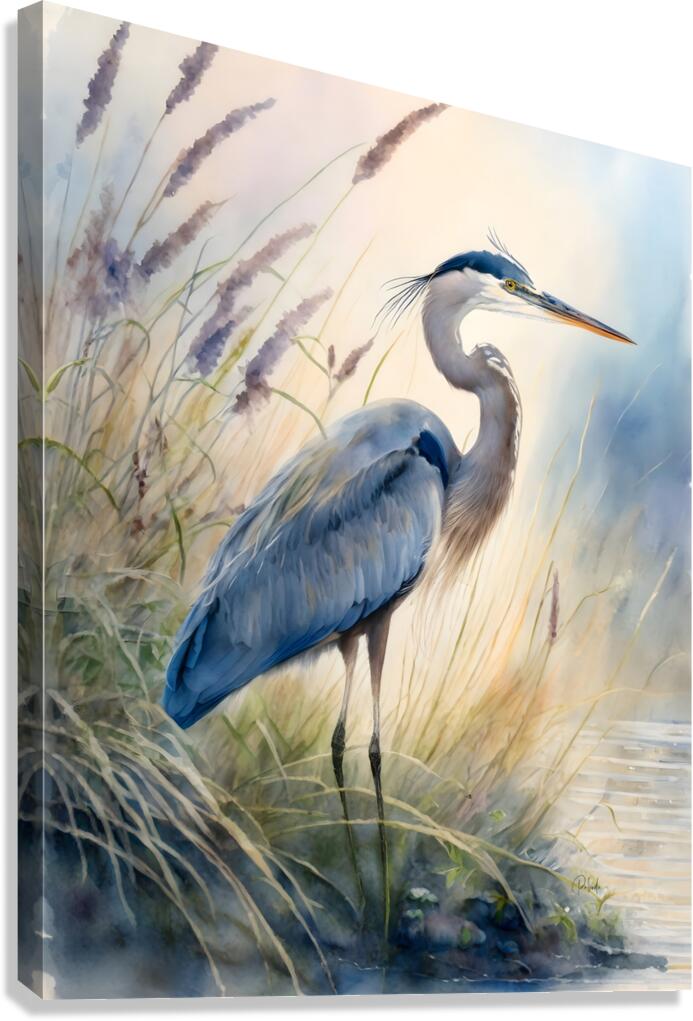 Blue Heron In The Seagrasses Canvas Print