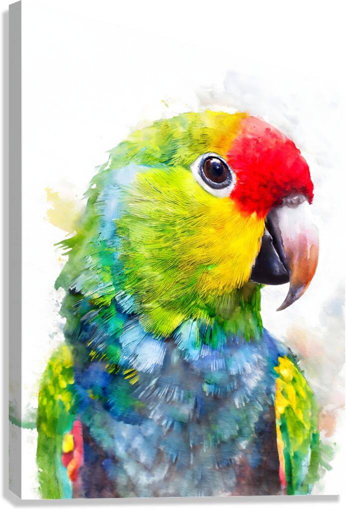 Electus Parrot Watercolor Canvas Print