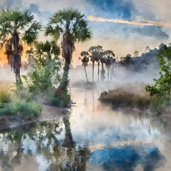 Bayou Sunrise Reflections