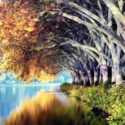 Birch Leaf Reflections