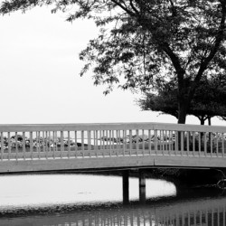 Sawmill Creek Wooden Bridge
