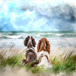 Dogone Good Beach Day