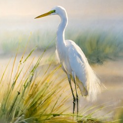 Egret By The Sea
