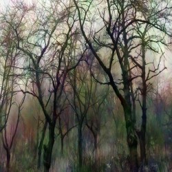 Finding Winter Colors