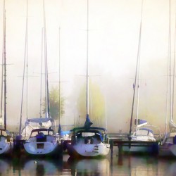 Foggy Marina Morning
