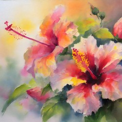 Just For Today Hibiscus