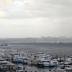 Old Port Cove Marina