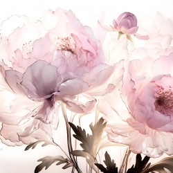 Peonies In Pink