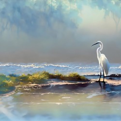 Rain At The Tidal Pool